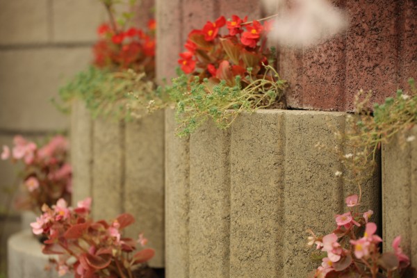 BETON PARKE